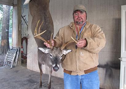 Deer image 2